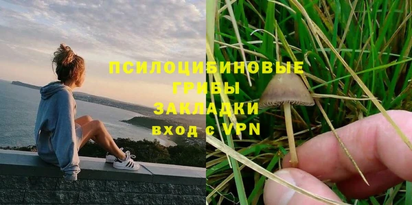 mdpv Арсеньев