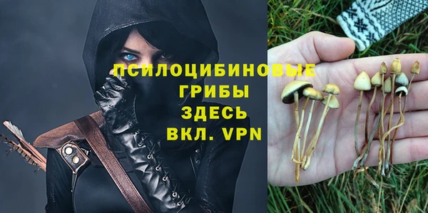 ГАЛЛЮЦИНОГЕННЫЕ ГРИБЫ Алексин