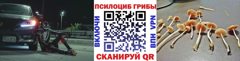Псилоцибиновые грибы ЛСД  Артёмовский 